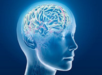 脳の検査に有効的なPET検診